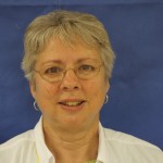 Ellen Harkins Ellen Harkins